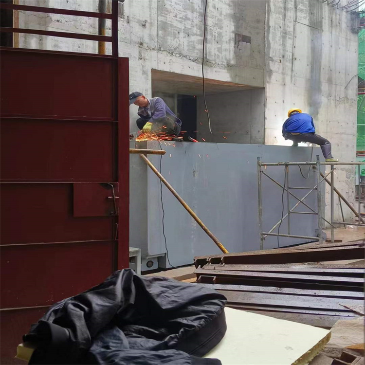 鹰潭聊城阳谷铅门生产厂家:高强度铅门的应用